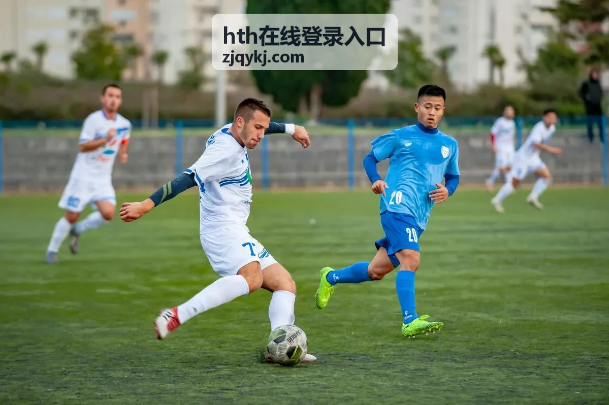 hth在线登录入口 会员内容分类导航示意
